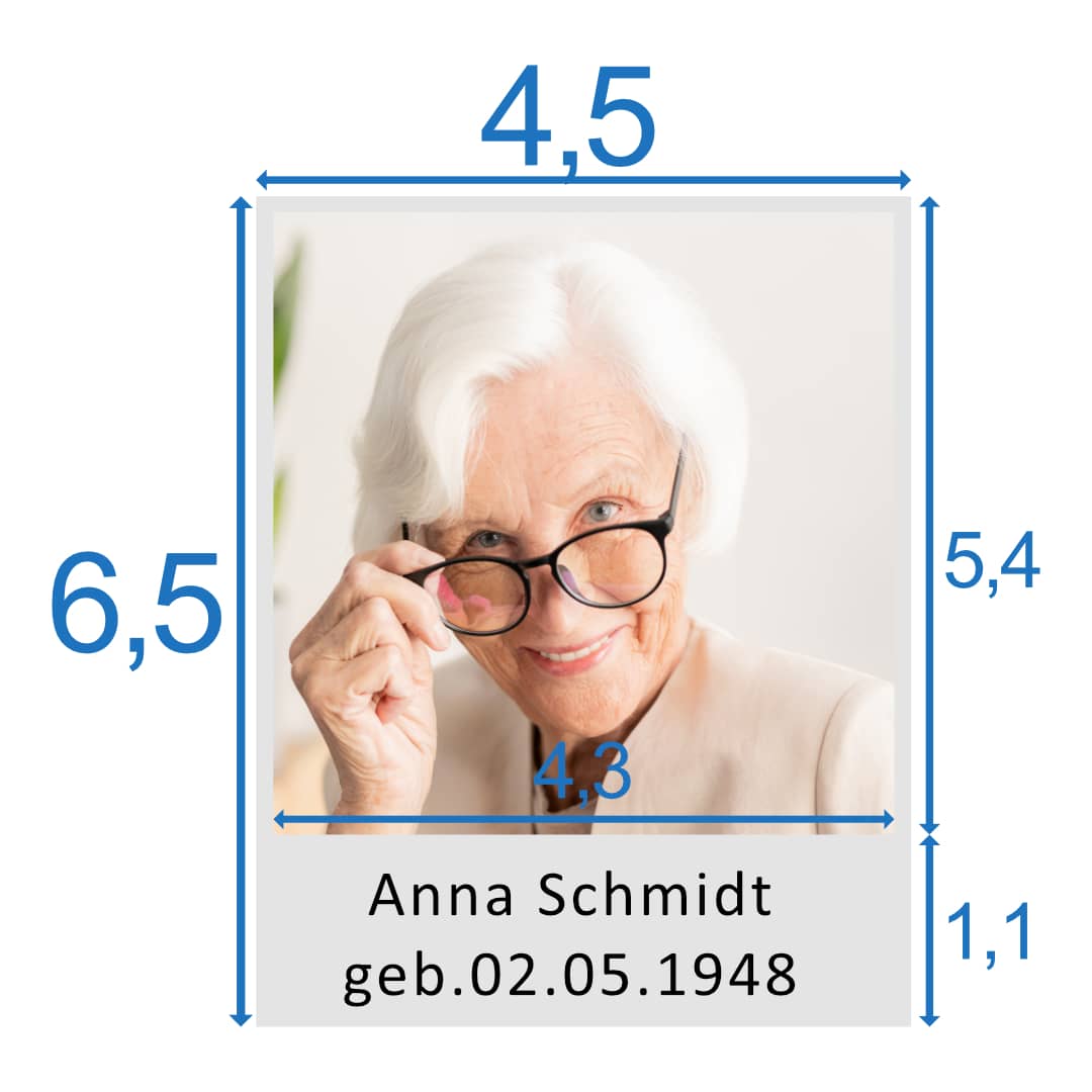 Vorschau eines Polaroidfoto von Stammbaum Pimavo Vorschau eines Polaroidfoto von Stammbaum Pimavo